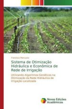 Sistema de Otimização Hidráulica e Econômica de Rede de Irrigação