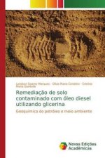 Remediacao de solo contaminado com oleo diesel utilizando glicerina