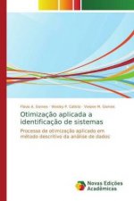 Otimizacao aplicada a identificacao de sistemas