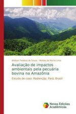 Avaliacao de impactos ambientais pela pecuaria bovina na Amazonia