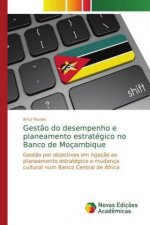 Gestao do desempenho e planeamento estrategico no Banco de Mocambique