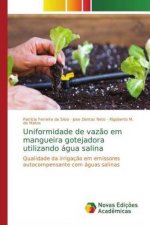 Uniformidade de vazao em mangueira gotejadora utilizando agua salina