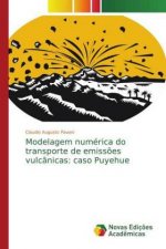 Modelagem numerica do transporte de emissoes vulcanicas