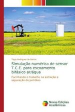 Simulacao numerica de sensor T.C.E. para escoamento bifasico ar/agua