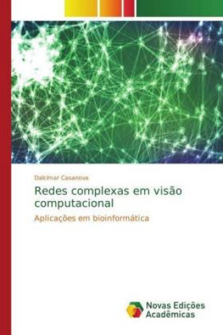 Redes complexas em visao computacional