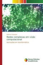 Redes complexas em visao computacional