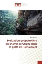 Evaluation géopetrolière du champ de Oudna dans le golfe de Hammamet