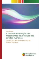 internacionalizacao dos mecanismos de protecao dos direitos humanos
