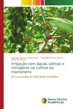 Irrigação com águas salinas e nitrogênio no cultivo da mamoneira