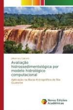 Avaliacao hidrossedimentologica por modelo hidrologico computacional