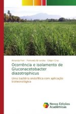 Ocorrencia e isolamento de Gluconacetobacter diazotrophicus