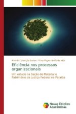 Eficiencia nos processos organizacionais