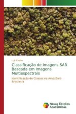 Classificacao de Imagens SAR Baseada em Imagens Multiespectrais