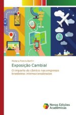 Exposicao Cambial