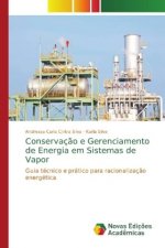 Conservacao e Gerenciamento de Energia em Sistemas de Vapor