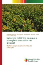 Natureza cationica da agua e nitrogenio no cultivo de girassol