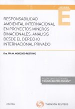 RESPONSABILIDAD AMBIENTAL INTERNACIONAL EN PROYECTOS MINEROS BINACIONALES: ANÁLI
