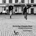 Strövtåg i Gamla Stan