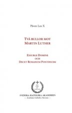 Två bullor mot Martin Luther