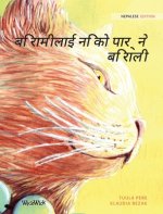बिरामीलाई निको पार्ने बि
