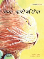 चमत्कारी बिलैया
