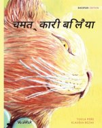 चमत्कारी बिलैया