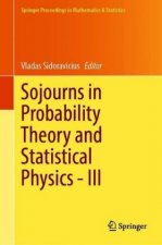 Sojourns in Probability Theory and Statistical Physics - III