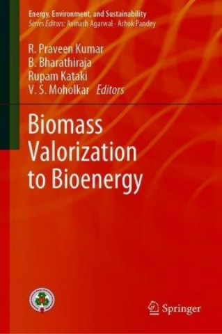 Biomass Valorization to Bioenergy