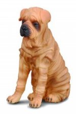 Pies rasy Shar Pei