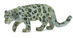 Leopard śnieżny