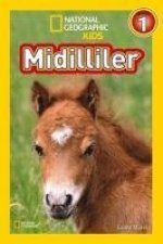 Midilliler - Seviye 1