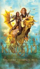 Making in the Knight