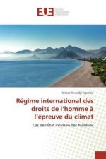 Régime international des droits de l'homme à l'épreuve du climat