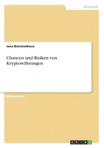 Chancen und Risiken von Kryptowährungen