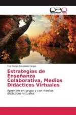 Estrategias de Enseñanza Colaborativa, Medios Didácticos Virtuales