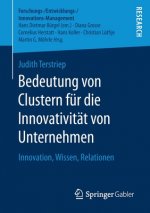 Bedeutung Von Clustern Fur Die Innovativitat Von Unternehmen