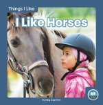 Things I Like: I Like Horses