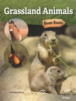 Grassland Animals