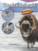 Tundra Animals