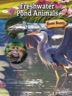 Freshwater Pond Animals