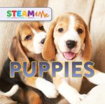 Puppies