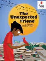 Unexpected Friend - a Rohingya Children's Story