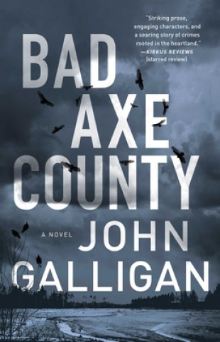 Bad Axe County: A Novelvolume 1