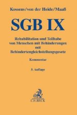 SGB IX