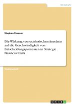 Die Wirkung von extrinsischen Anreizen auf die Geschwindigkeit von Entscheidungsprozessen in Strategic Business Units