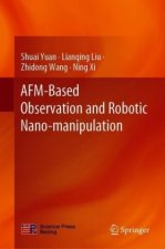 AFM-Based Observation and Robotic Nano-manipulation