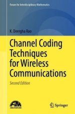 Channel Coding Techniques for Wireless Communications