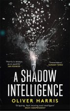 Shadow Intelligence