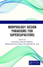 Morphology Design Paradigms for Supercapacitors