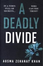 Deadly Divide